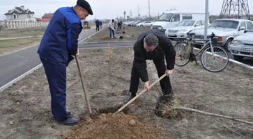 http://www.ognikuban.tw1.ru/wp-content/uploads/2017/11/DSC_0083lipa-1