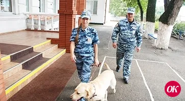 Гарантия безопасности выборов