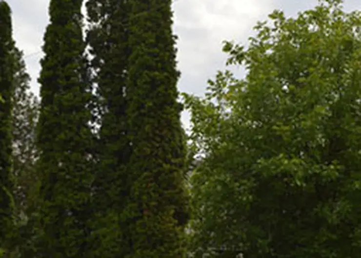 http://www.ognikuban.tw1.ru/wp-content/uploads/2017/06/DSC_2132qazzar