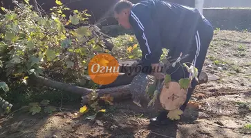 https://ognikubani.ru/wp-content/uploads/2019/10/f5bbb7b7-330e-43a9-bd74-fa0be2f82d4e