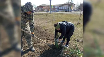 https://ognikubani.ru/wp-content/uploads/2021/03/ognikubani.ru-15