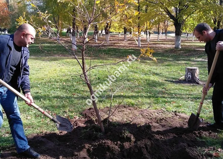 https://ognikubani.ru/wp-content/uploads/2019/11/IMG_20191108_124928_702