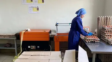 https://ognikubani.ru/wp-content/uploads/2023/03/mhl2fe16wez7cknn3smapioo2j2p19m9
