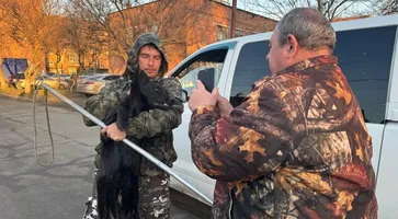 photo_5355180209697056098_y