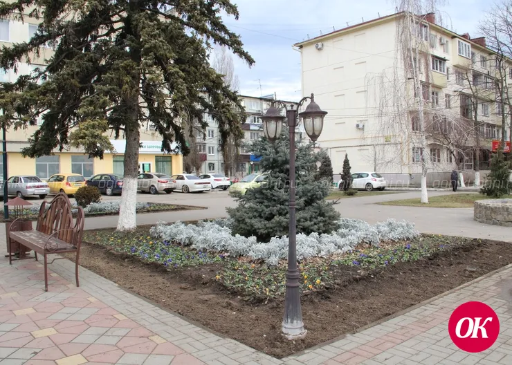 Февраль не помеха озеленителям