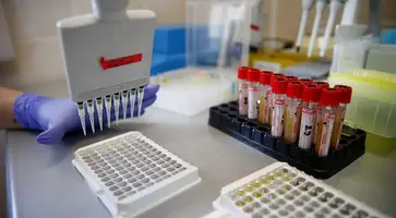 https://ognikubani.ru/wp-content/uploads/2020/05/760801041252364156f0d15f9bbb2da3