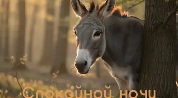 photo_2026-04-01_16-29-30