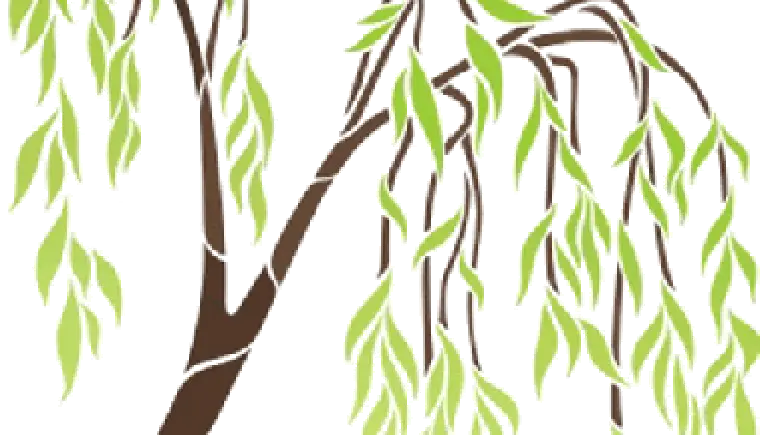 http://www.ognikuban.tw1.ru/wp-content/uploads/2015/03/pic_6247_bmax