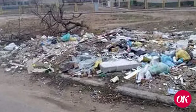Мусор за ворота и — порядок?