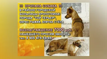 https://ognikubani.ru/wp-content/uploads/2022/12/WhatsApp-Image-2022-12-16-at-13.25.01_11111
