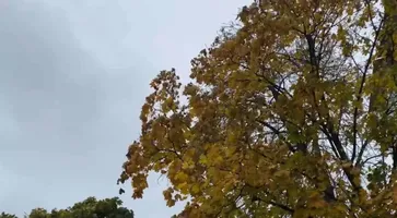 photo_2023-11-27_10-39-38