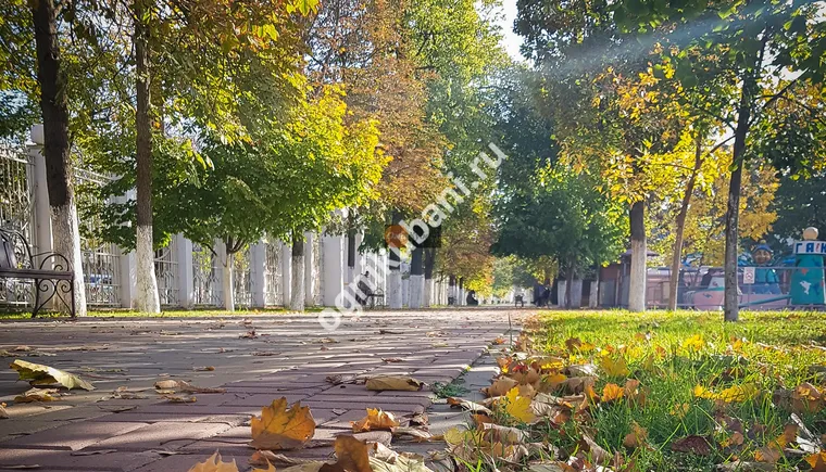 https://ognikubani.ru/wp-content/uploads/2019/10/20191023_091001