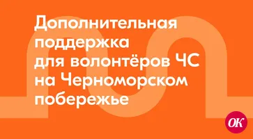 Дополнительную поддержку получат ликвидаторы последствий разлива нефтепродуктов на Черноморском побережье