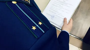 https://ognikubani.ru/wp-content/uploads/2020/11/IMG_0775