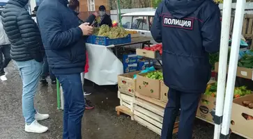 https://ognikubani.ru/wp-content/uploads/2021/11/WhatsApp-Image-2021-11-02-at-16.09.44