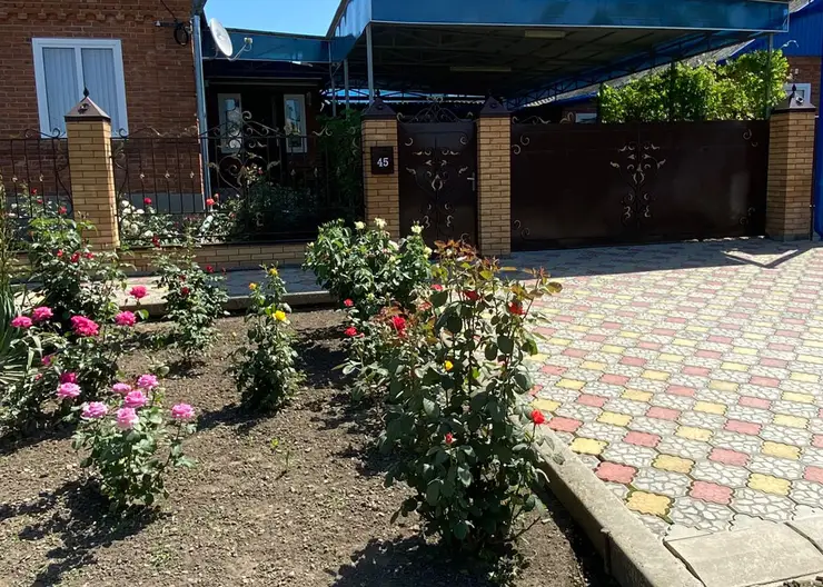 https://ognikubani.ru/wp-content/uploads/2022/06/WhatsApp-Image-2022-06-06-at-10.26.54_1