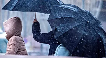 https://ognikubani.ru/wp-content/uploads/2020/12/Дизайн-без-названия