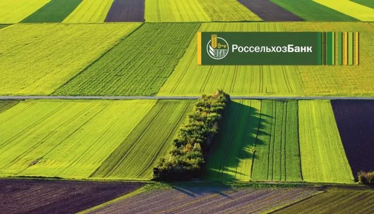 https://ognikubani.ru/wp-content/uploads/2022/02/ognikubani.ru-3-14