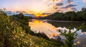 https://ognikubani.ru/wp-content/uploads/2020/07/b6a4df632a4bfbfec27e0b9eadd15223