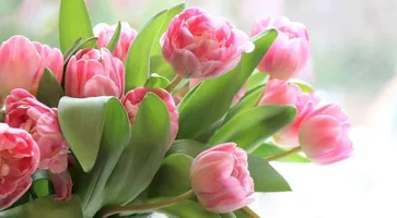 https://ognikubani.ru/wp-content/uploads/2022/05/ognikubani.ru-3-2