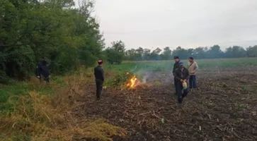 https://ognikubani.ru/wp-content/uploads/2021/10/ognikubani.ru_-5