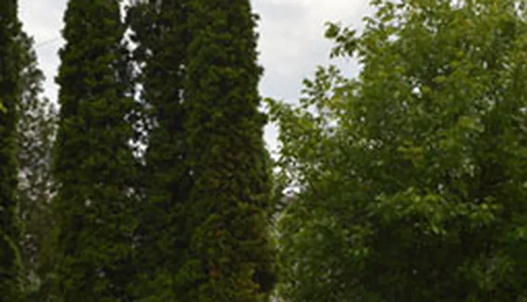 http://www.ognikuban.tw1.ru/wp-content/uploads/2017/06/DSC_2132qazzar