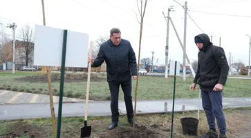 photo_5350661388705588514_y