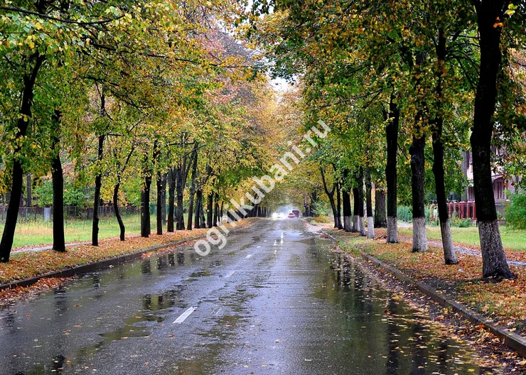 https://ognikubani.ru/wp-content/uploads/2019/10/man-made-road-30556