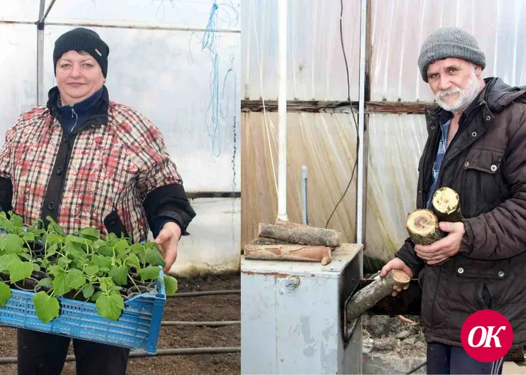 «Год овощей и фруктов». Супруги Александр и Любовь Митрохины из поселка Мирского успешно работают в собственном тепличном хозяйстве