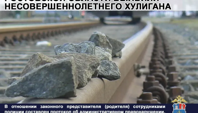 5.35 Хулигансво ро