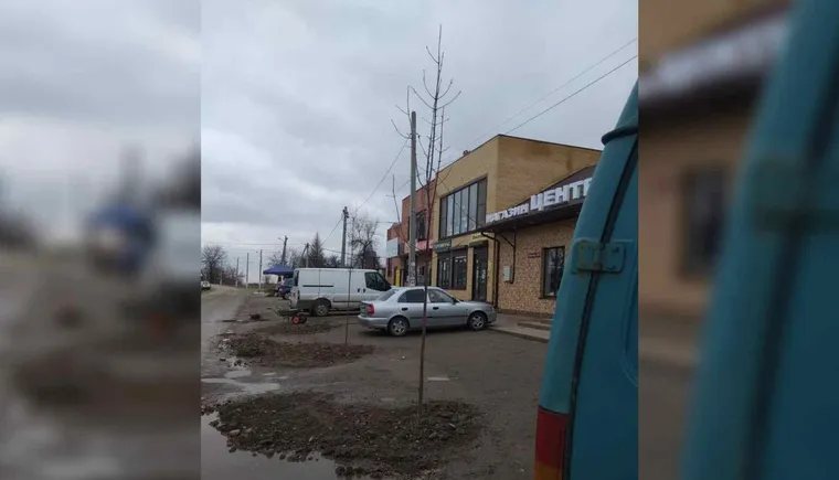 https://ognikubani.ru/wp-content/uploads/2021/03/ognikubani.ru-34