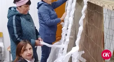 «Кружева жизни» укрывающие от неприятеля