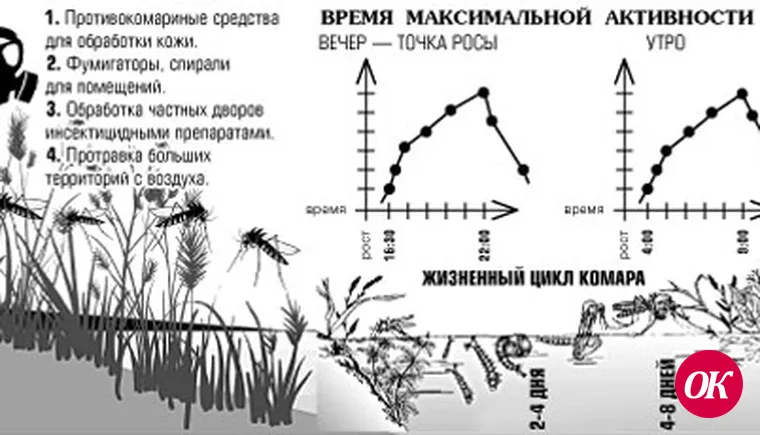Удар! Еще удар!