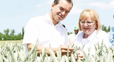 https://ognikubani.ru/wp-content/uploads/2020/07/58b7992cdf74f3e3a3de9c375f802b0f