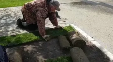 https://ognikubani.ru/wp-content/uploads/2020/04/фотосток-2