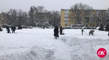 Культработники вышли на расчистку снега