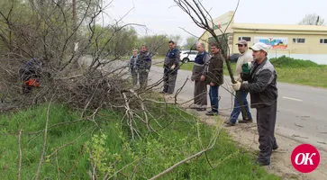 В большом районном субботнике приняли участие более 2,5 тысячи человек