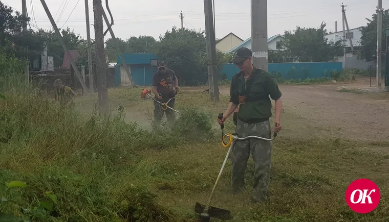 В сосновой роще Кропоткина проведен субботник