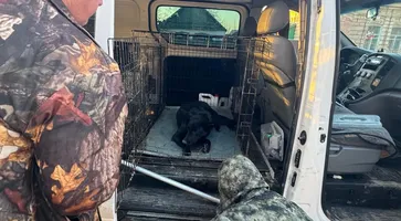 WhatsApp Image 2025-03-07 at 08.16.35 (4)