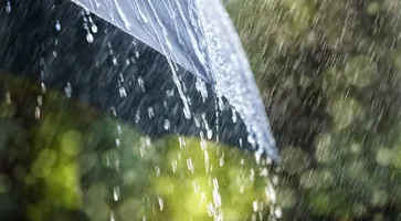 https://ognikubani.ru/wp-content/uploads/2020/07/dozhd6