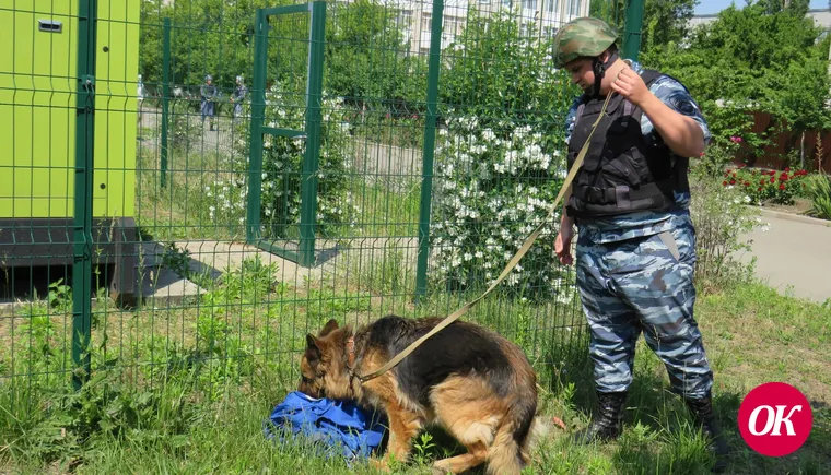Полицейские приняли участие во Всероссийских учениях по антитеррористической защищенности объектов образования