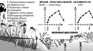 http://www.ognikuban.tw1.ru/wp-content/uploads/2017/06/Ogni_Kuban_270617_4