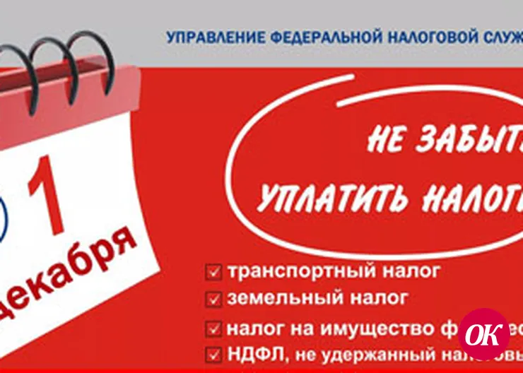 Налог на имущество следует уплатить до 1 декабря!