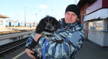 https://ognikubani.ru/wp-content/uploads/2022/11/IMG_0471
