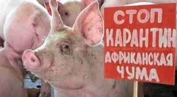 https://ognikubani.ru/wp-content/uploads/2020/03/загружено-3