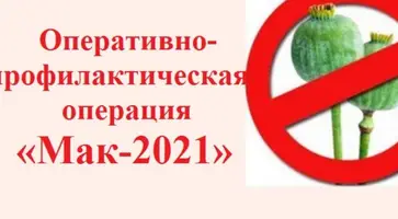 https://ognikubani.ru/wp-content/uploads/2021/10/ognikubani.ru-1-1