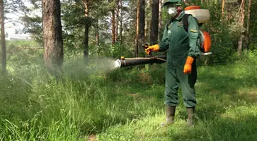 http://www.ognikuban.tw1.ru/wp-content/uploads/2015/07/sadism333