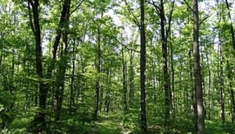 http://www.ognikuban.tw1.ru/wp-content/uploads/2017/07/cb201d70980279def8f3581e3145f679
