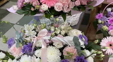 https://ognikubani.ru/wp-content/uploads/2023/08/photo_5434125015722347927_y-1