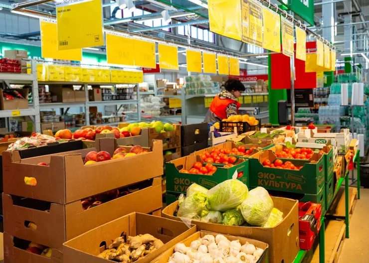 photo_5334962845152048620_y